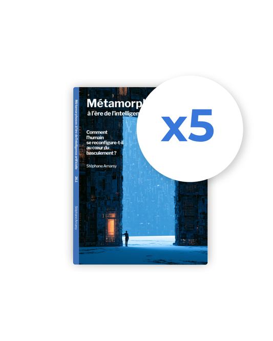 3 - Métamorphoses de l'IA - 26.1 en 5 exemplaires