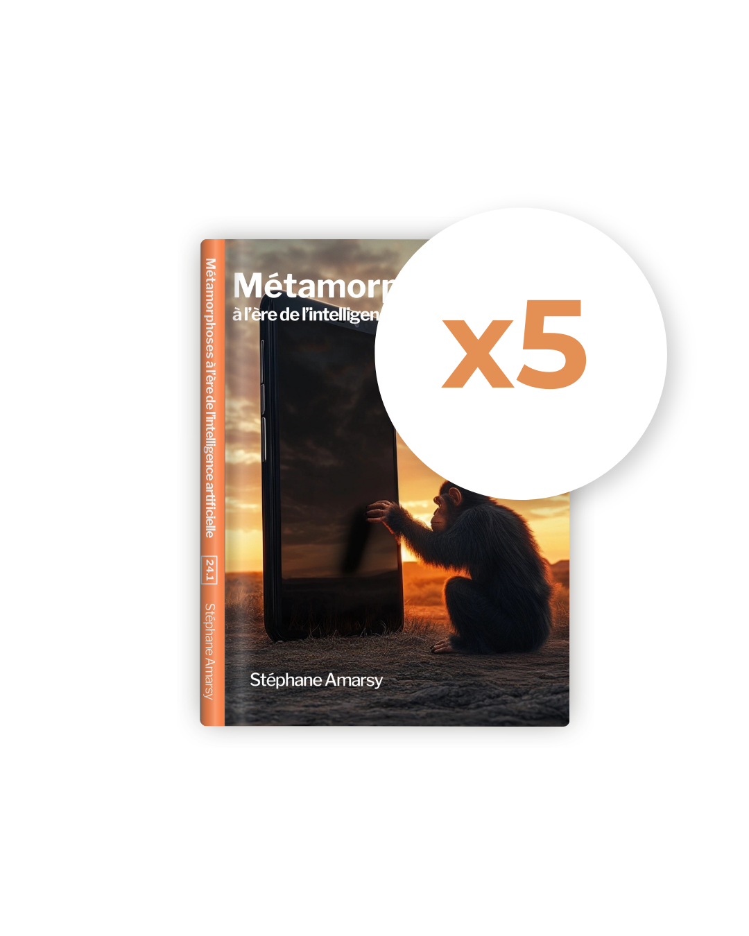 9 - Métamorphoses 24.1  en 5 exemplaires